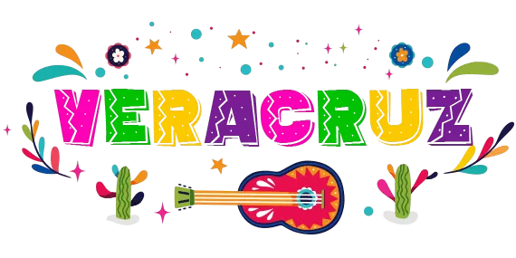Agencia SEO en Veracruz