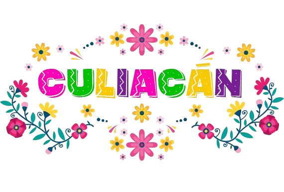 Agencia SEO Culiacán