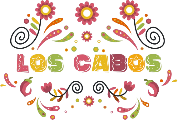 Agencia SEO los Cabos