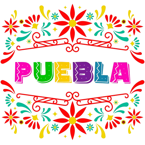 Agencia SEO en Puebla