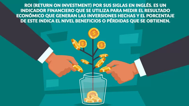 que es el roi